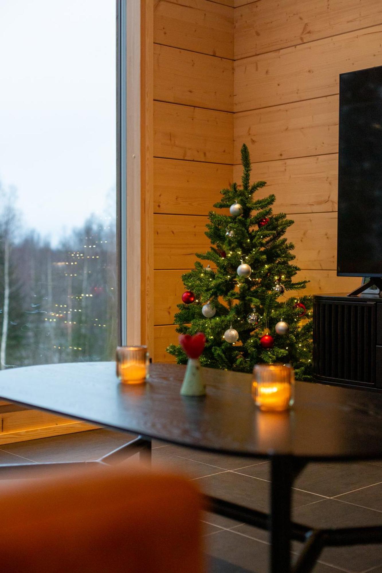 Kajo Sky Lodge Rovaniemi Exteriér fotografie